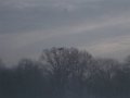 freeze fly 015